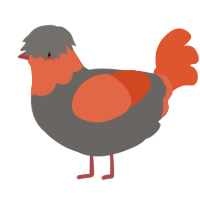 A grey and vermilion chicken with a head pattern