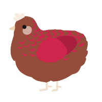 A russet and crimson chicken with a half-lace pattern