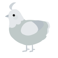 A silver and mist chicken with a head pattern