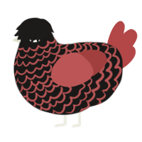 A sable and red chicken with a lace pattern