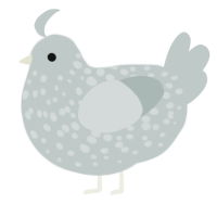 A silver chicken with a speckle pattern