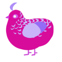 A fuchsia and lilac chicken with a half-lace pattern