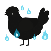 A black chicken with a speckle pattern