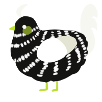 A black and white chicken with a bar pattern