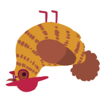 A orange and russet chicken with a bar pattern