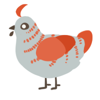 A silver and vermilion chicken with a half-bar pattern