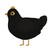 A black and sable chicken with a half-lace pattern