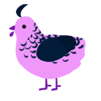 Unique, a lavender and tumblr chicken with a half-lace pattern