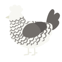 A white and grey chicken with a lace pattern