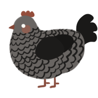 A grey and sable chicken with a lace pattern