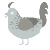 Mordred, a silver and ash chicken with a half-lace pattern