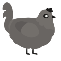 Dusty, a grey chicken with a head pattern