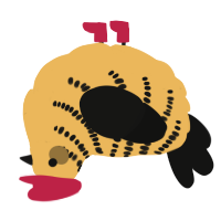 A honey and black chicken with a half-bar pattern