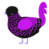Cellar Door, a black and amethyst chicken with a lace pattern