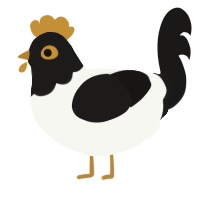 Jakcet, a white and sable chicken with a head pattern