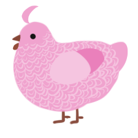 (unnamed), a pink chicken with a double-lace pattern