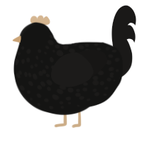 Ate Cement When 6, a black and sable chicken with a speckle pattern