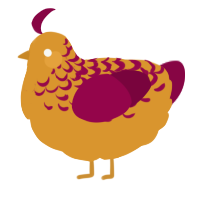 A orange and maroon chicken with a half-lace pattern