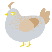 A mist and beige chicken with a half-lace pattern