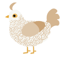 Toasty Marshmallow, a white and beige chicken with a double-lace pattern