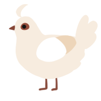 A cream chicken