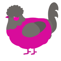 Disco, a fuchsia and grey chicken with a head pattern
