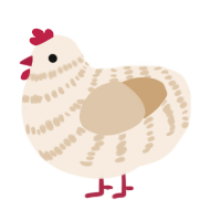 A cream and beige chicken with a bar pattern
