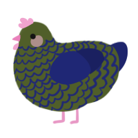 A olive and navy chicken with a lace pattern