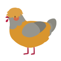 A orange and ash chicken with a head pattern