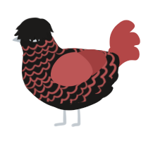 A sable and red chicken with a lace pattern