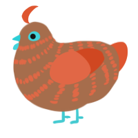 (unnamed), a brown and vermilion chicken with a bar pattern