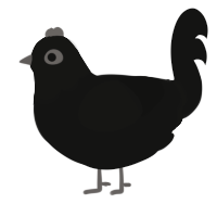 A black chicken with a head pattern