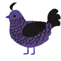 Midnight, a overcast and sable chicken with a lace pattern