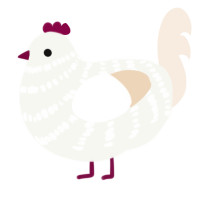 A white and cream chicken with a bar pattern