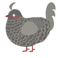 A grey and ash chicken with a lace pattern