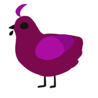 Pomegranate Seed, a wine and plum chicken
