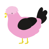 skater gull, a pink and sable chicken