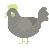 A ash chicken with a speckle pattern