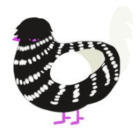A sable and white chicken with a bar pattern