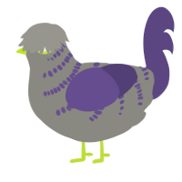 A ash and overcast chicken with a half-bar pattern