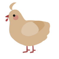 A beige chicken