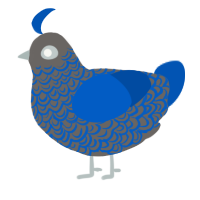 A grey and ultramarine chicken with a double-lace pattern