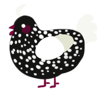 A black and white chicken with a speckle pattern