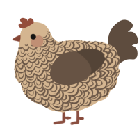 A beige and bark chicken with a double-lace pattern