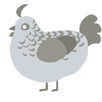A mist and ash chicken with a half-lace pattern
