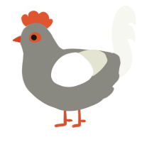 A ash and white chicken