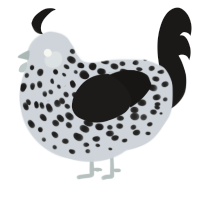 A mist and sable chicken with a speckle pattern