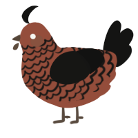A russet and black chicken with a lace pattern