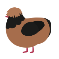 A brown and sable chicken with a head pattern