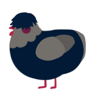 A tumblr and grey chicken with a head pattern